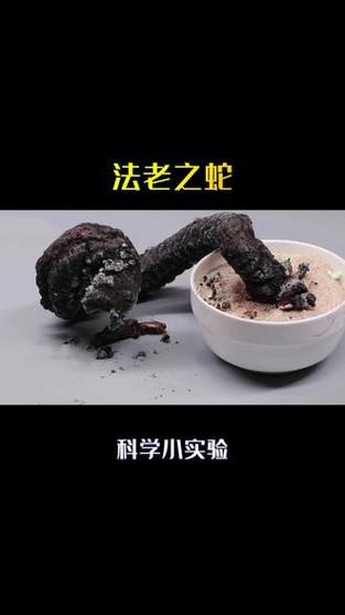 法老之蛇最简便的配方