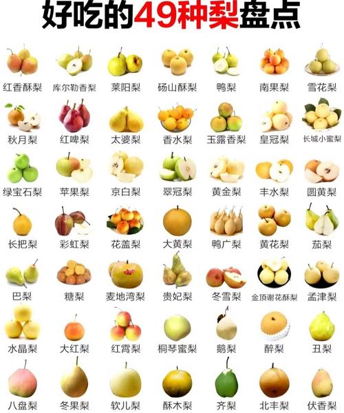 各种瓜的图片及名称