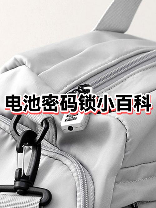 电瓶锁有必要买吗