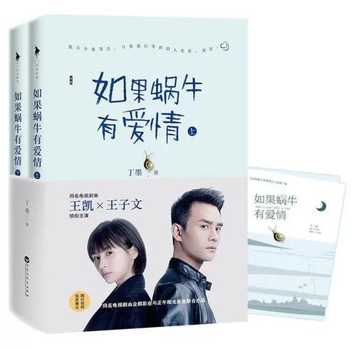 如果蜗牛有爱情 丁墨