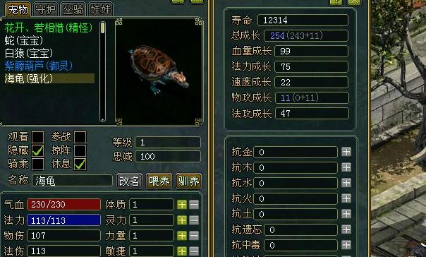 问道海龟点化完成长图