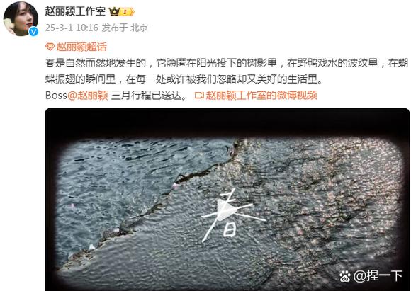 影子计划1到40集在线观看