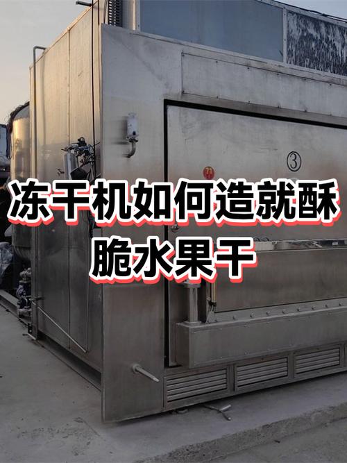 水果冻干机多少钱一台缩略图
