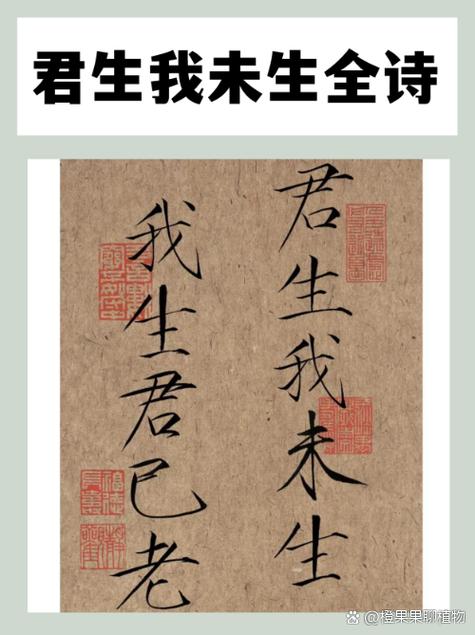 七窍玲珑阵君生我未生