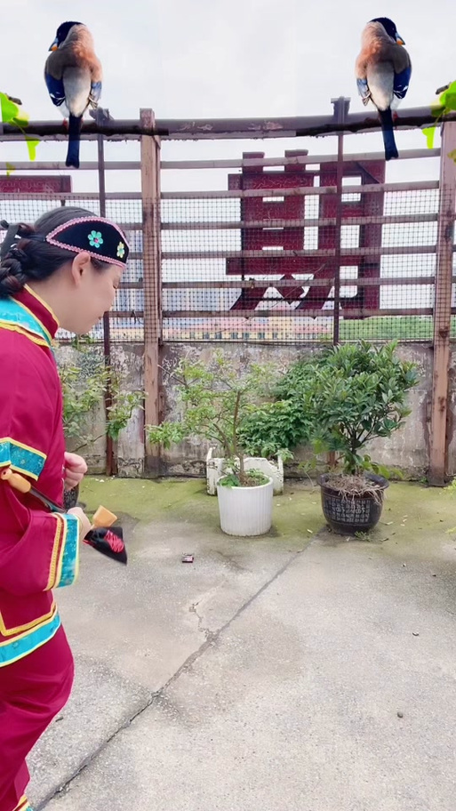 美人胚子读pi还是pei