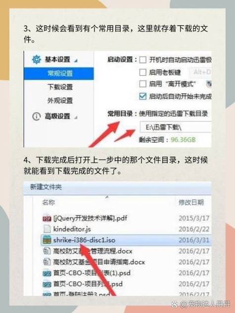 怎样查找已下载的文件