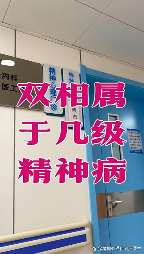 双相属于几级精神病