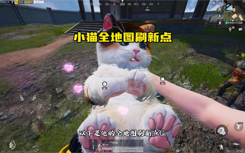 和平精英线退出小猫了吗