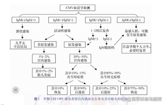 移植后三个月巨细胞病毒感染