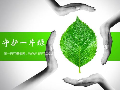 PPT保存时点了保存怎么办