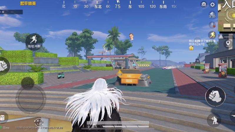 和平精英白头发套装