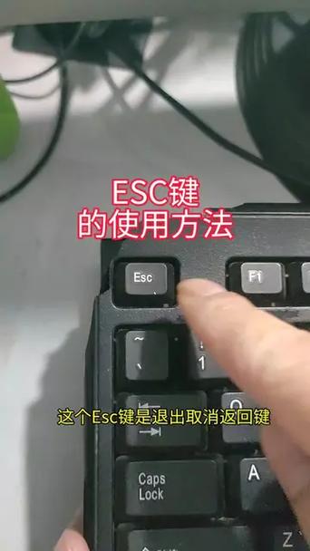 电脑上esc键的功能