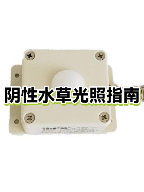 养水草用什么灯光好