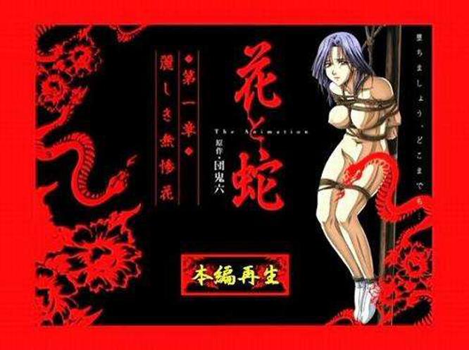 花与蛇动漫讲的是