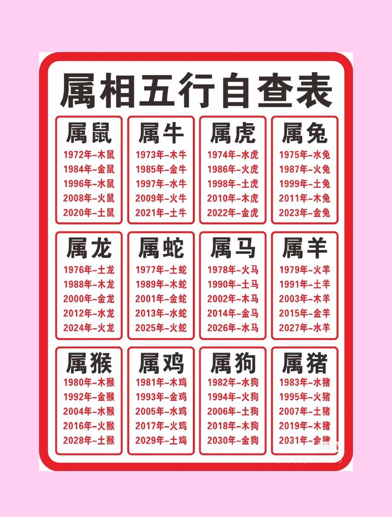 十二生肖每肖特功能
