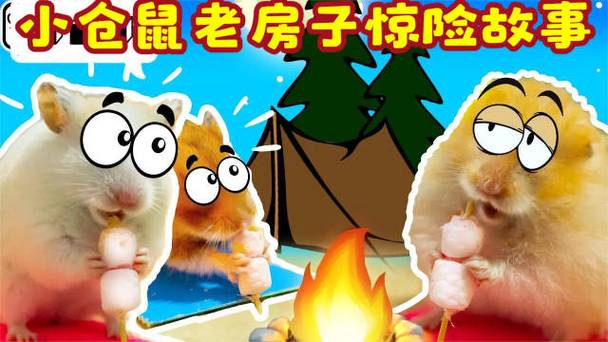 小仓鼠闯关大冒险视频缩略图