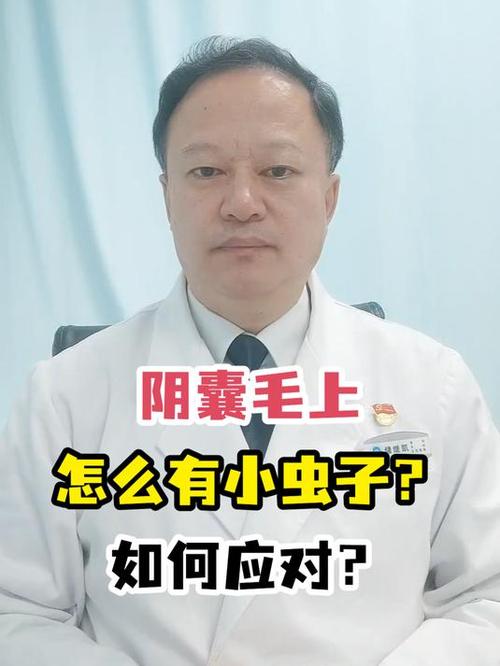阴囊毛上怎么有小虫子