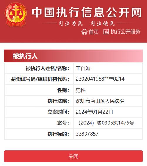 执行人信息公开网查询