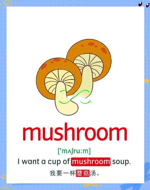 真菌用英语怎么说