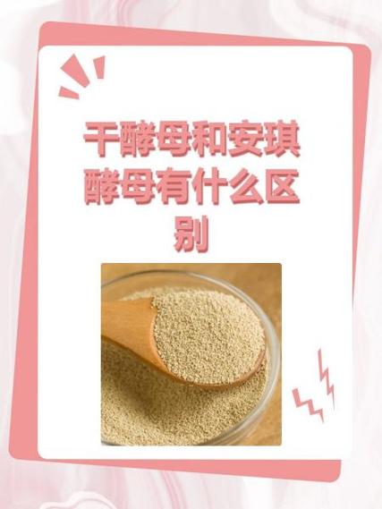 安琪干酵母和安琪酵母的区别