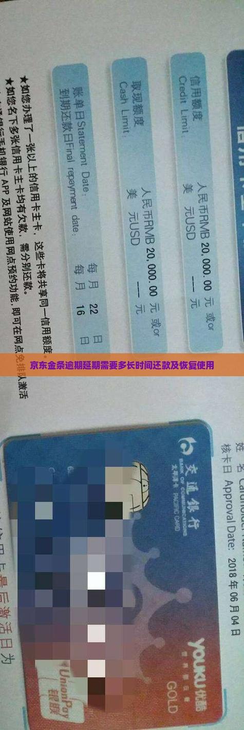 京东金条不让借了多久可以恢复