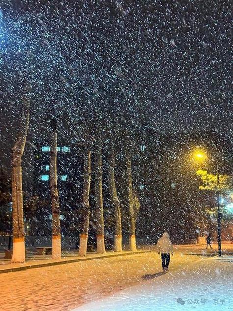 雪花飘雪真实视频合集下载