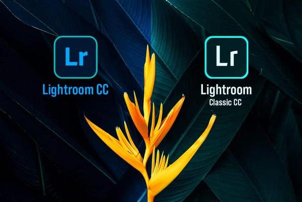 lightroom官方正版安装