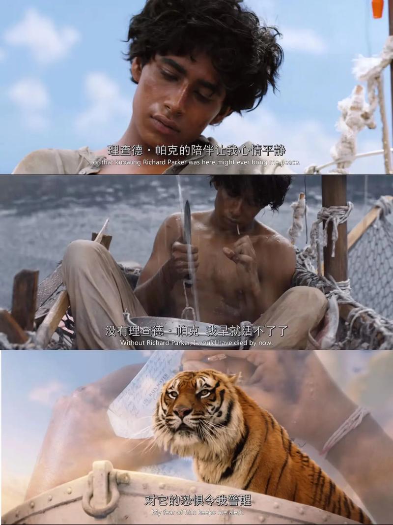 少年派的奇幻漂流的导演图标