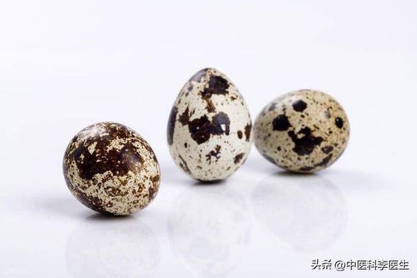 阴虚火旺可以吃鹌鹑蛋吗