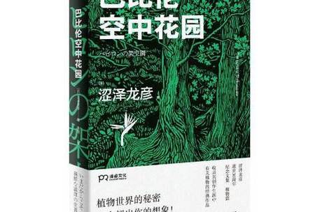 空中巴比伦最新小说