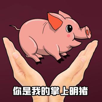 我是你的掌上明猪,原图