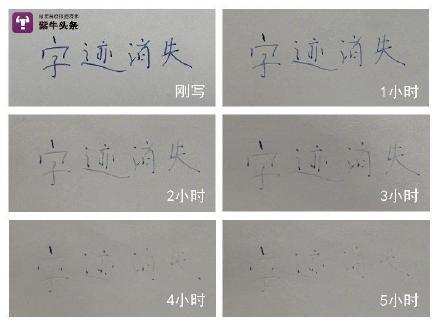 word文本框打字有的字不显示截图