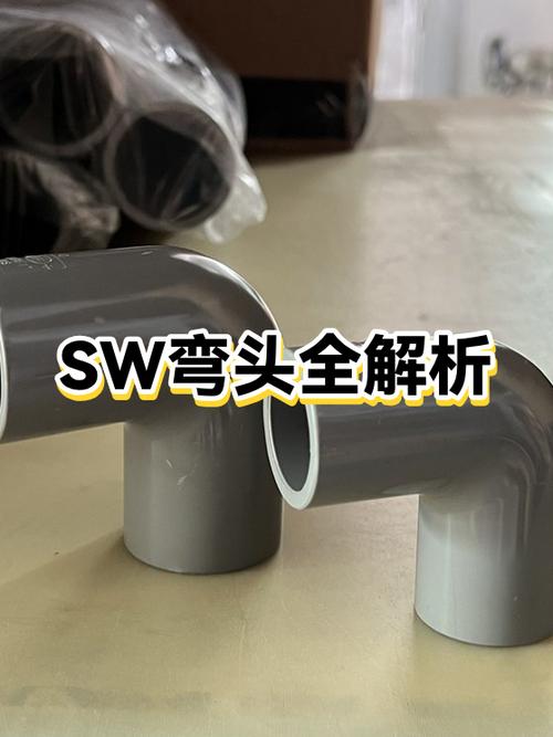 sw在圈内的意思