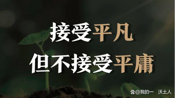 人不能平庸的生活着