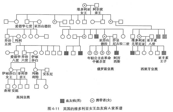 血友病最吃香的三个专业