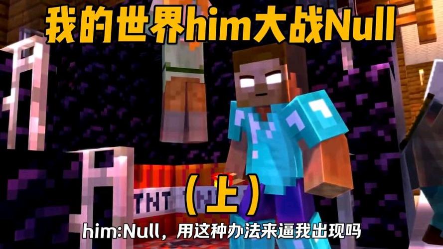 我的世界null大战him