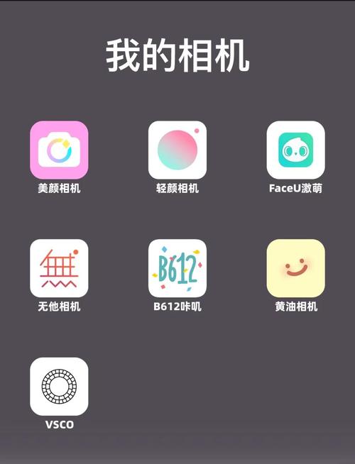 苹果手机用什么美颜相机拍照好看游戏截图