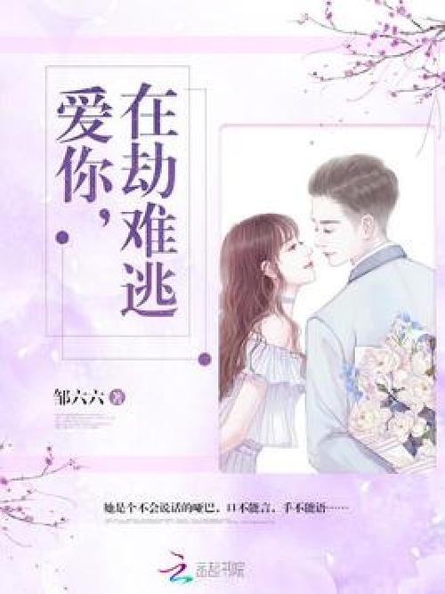 在劫难逃小说