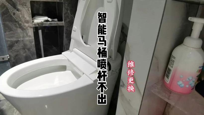 智能马桶清洗杆不出来