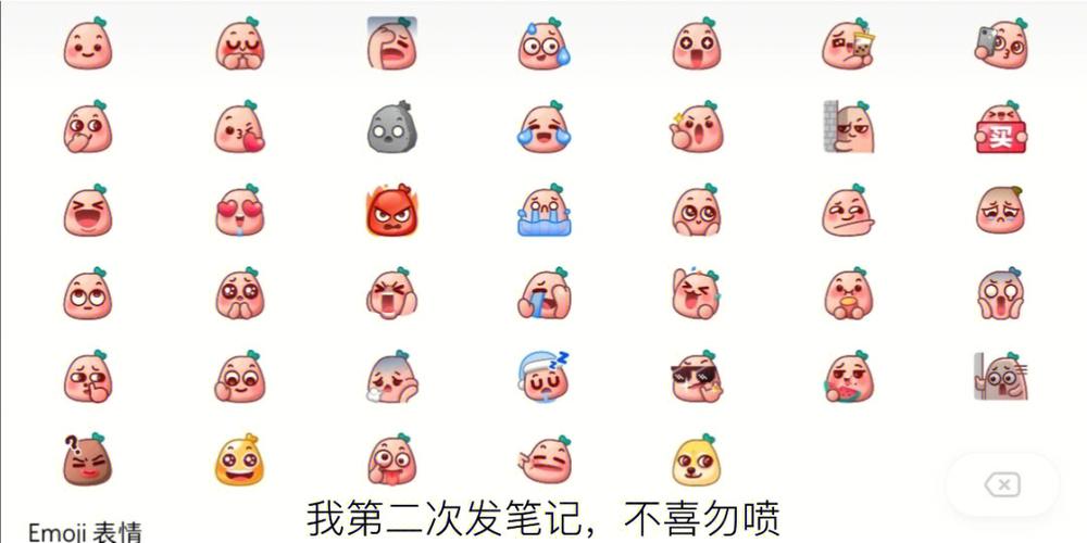 小红书表情包使用说明