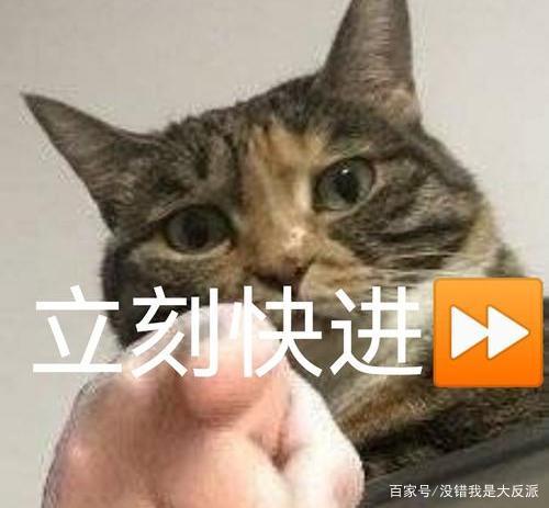 为什么看电视喜欢快进