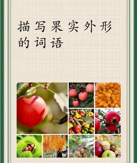 果实的概念和定义