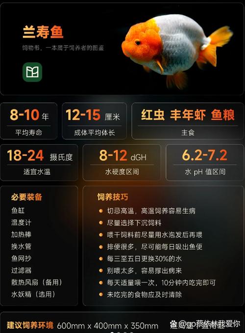 观赏鱼的寿命一览表