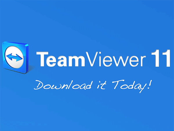 teamviewer激活码多少钱
