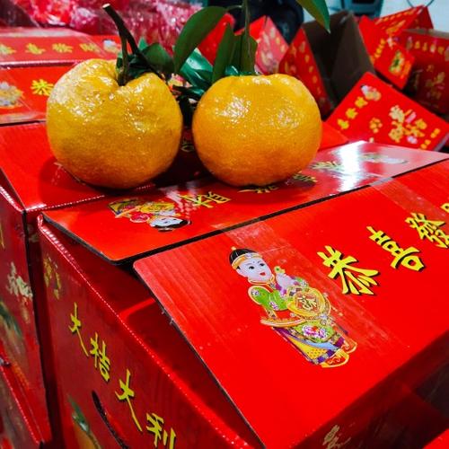 正版发财橙子