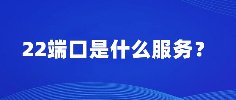 22端口缩略图