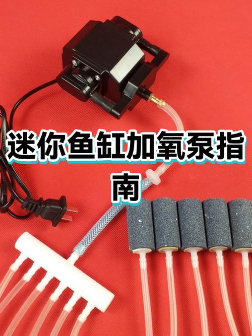 鱼缸里的泵不出水是怎么回事