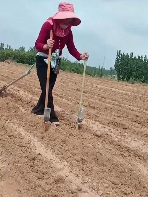 收芝麻机器