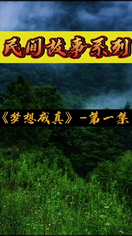 梦想成真3.0(才不是二哈)