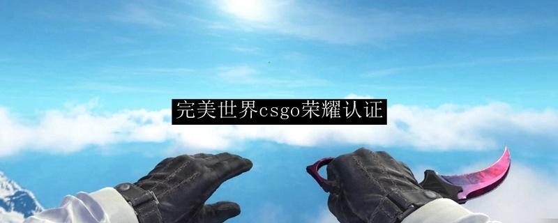 完美世界csgo荣耀认证